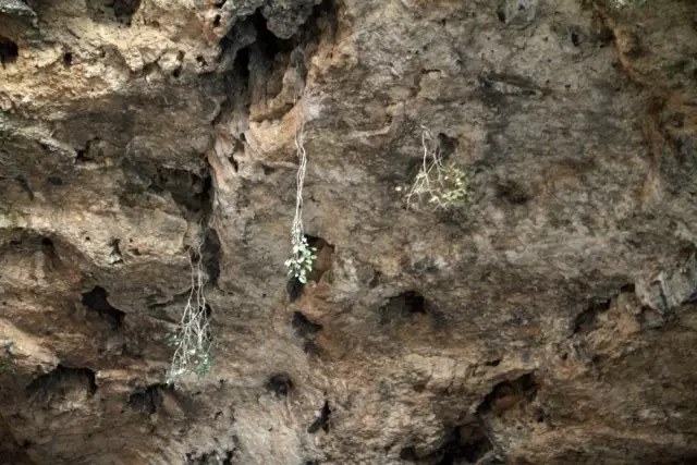 Yeni keşfedilen kanyonlara tekne ile tur Yeni keşfedilen kanyonlara tekne ile tur