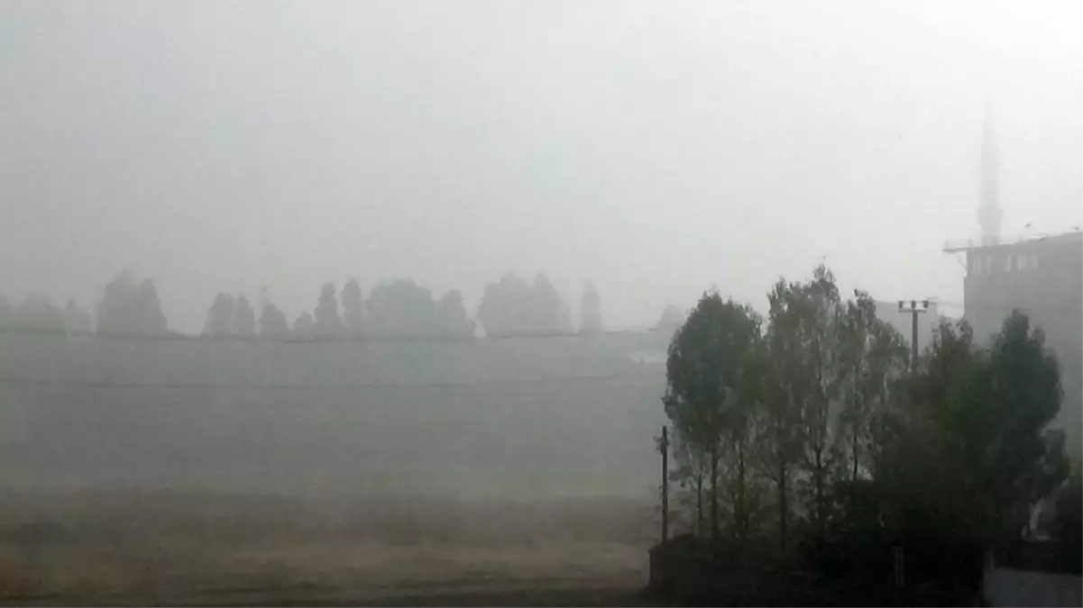 Yüksekova'da yoğun sis