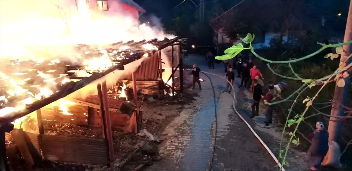 Zonguldak'ta ahır yangını