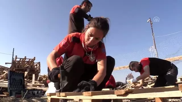 Atık tahtalar sokak köpeklerine 'yuva' oldu - BURSA