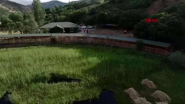 Bingöl yüzen adalar’a ziyaretçi akını