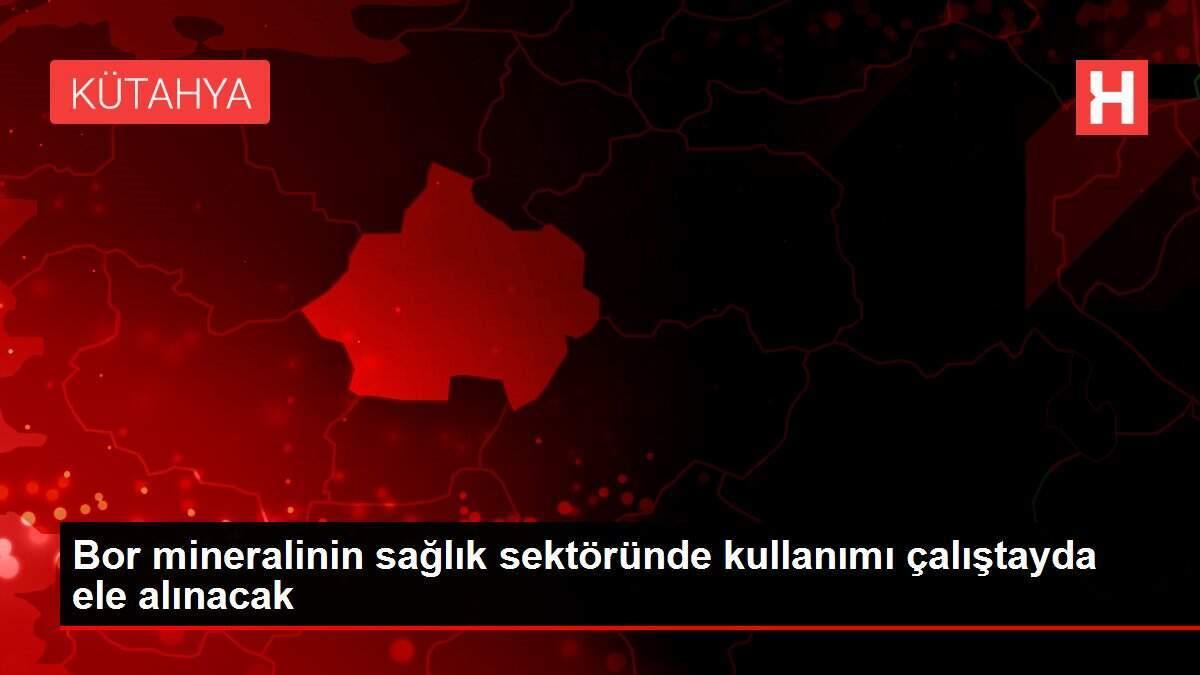 Bor mineralinin sağlık sektöründe kullanımı çalıştayda ele alınacak