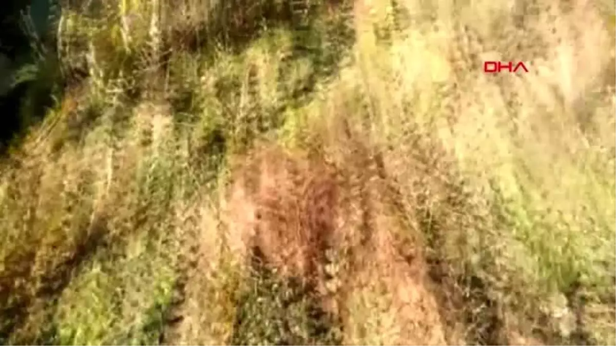 Çanakkale 'çan'da hayvanlar zehirlendi' iddiası