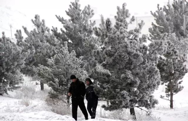 Doğu Anadolu'da soğuk hava: Göle - 17