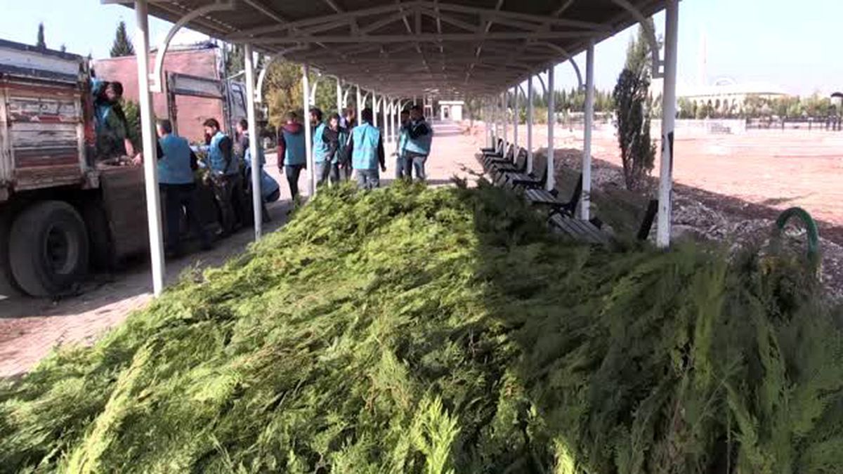 Adıyaman'da yükümlüler fidan dikti