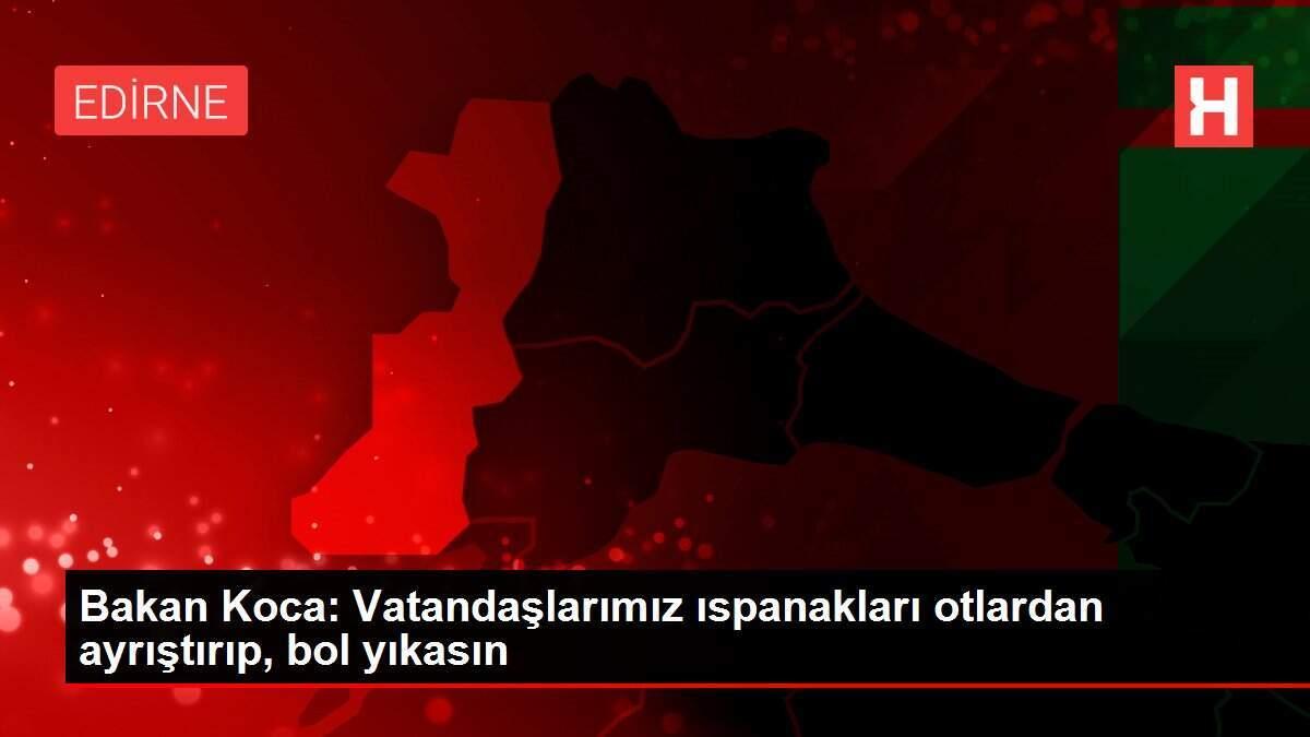 Bakan Koca: Vatandaşlarımız ıspanakları otlardan ayrıştırıp, bol yıkasın