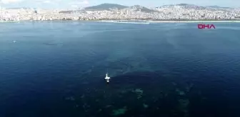 Maltepe Belediyesi: İstanbul'da depremlerle battı... vordonisi adası havadan görüntülendi Maltepe Belediyesi: İstanbul'da depremlerle battı... vordonisi adası havadan görüntülendi