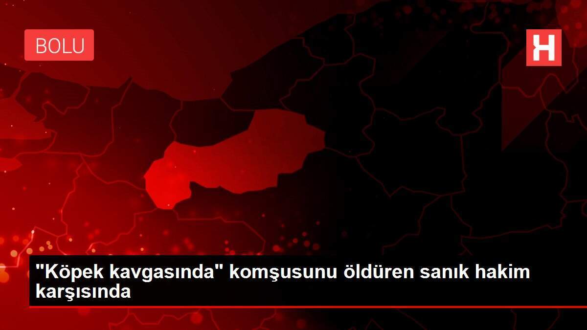 'Köpek kavgasında' komşusunu öldüren sanık hakim karşısında