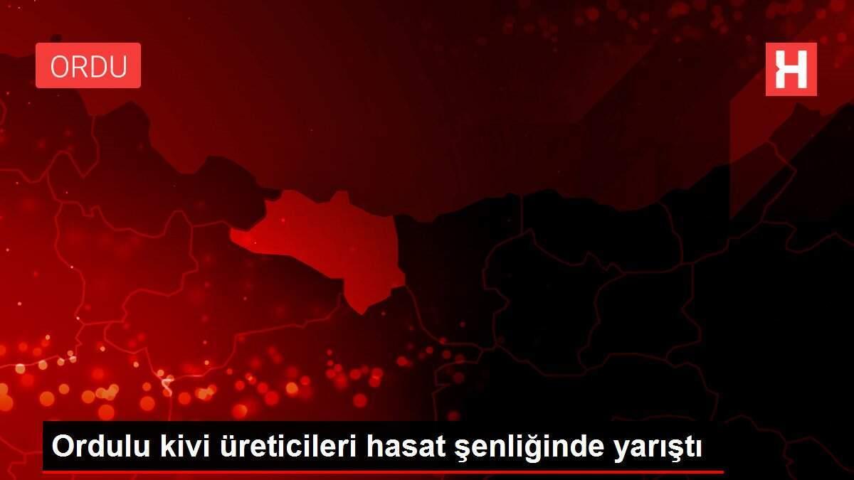 Ordulu kivi üreticileri hasat şenliğinde yarıştı