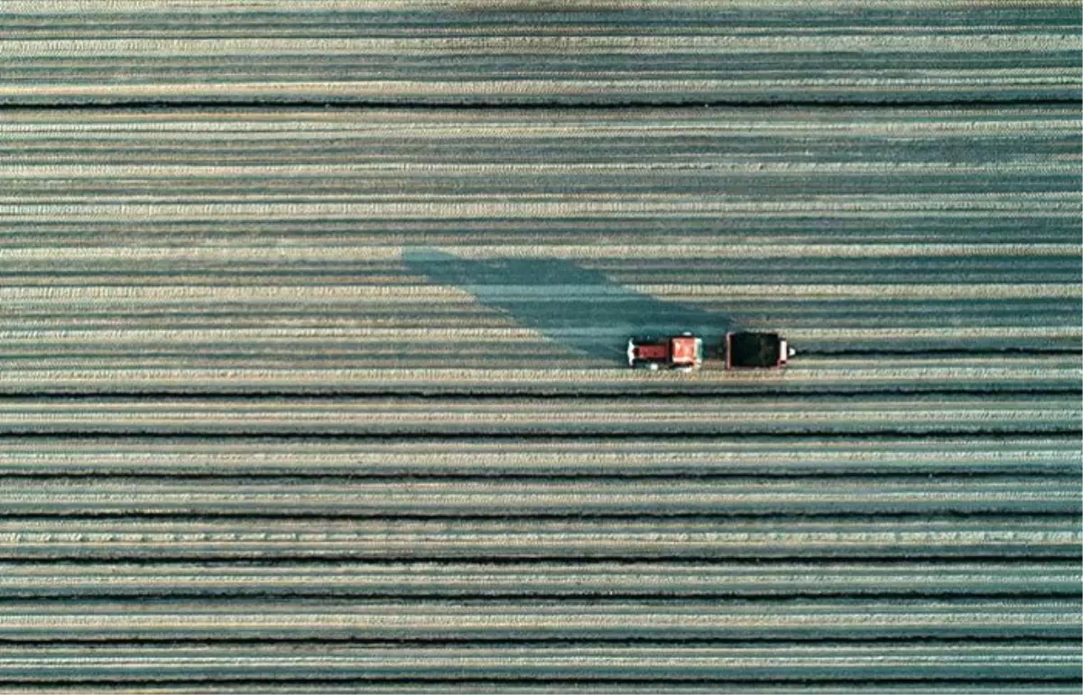 Türkiye'nin e-tarım stratejisi belirlenecek