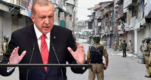 Uzmanlar, Erdoğan'ın