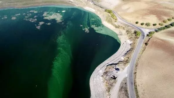 Atatürk Baraj Gölü'ndeki yeşilliğin nedeni plankton ve alg patlaması