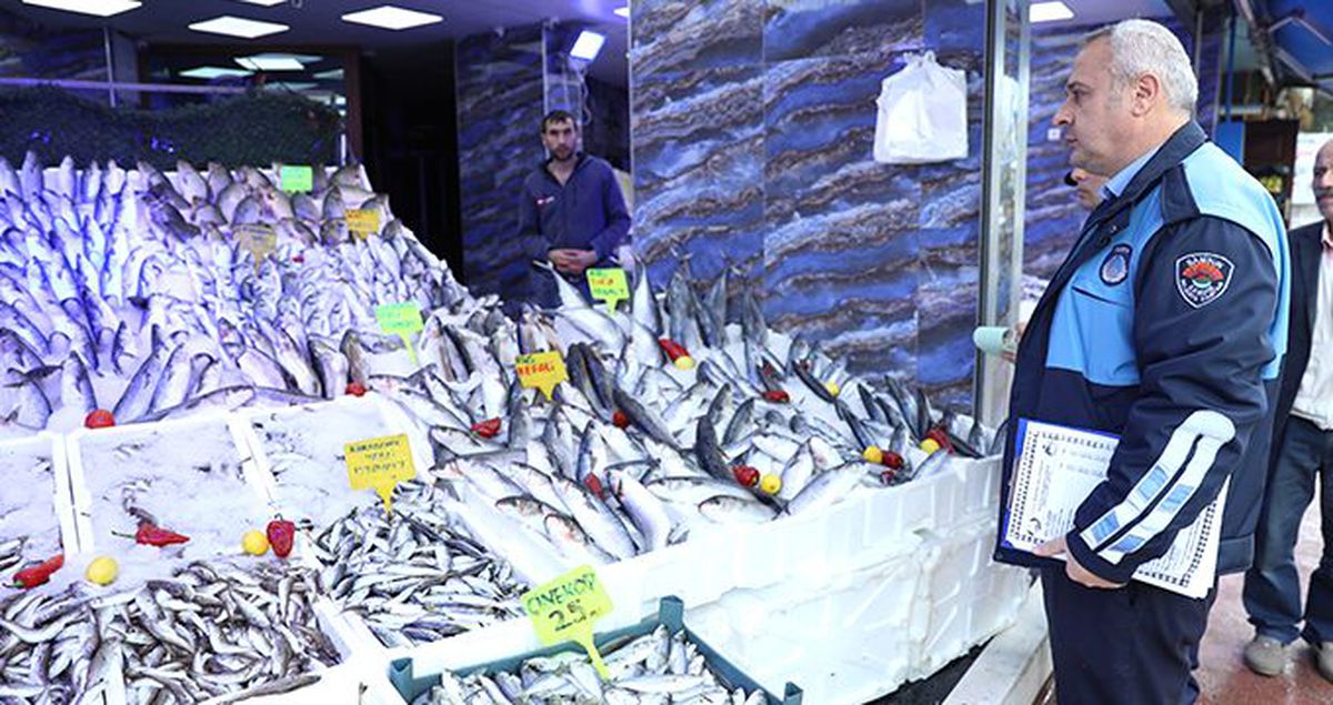 Balıkçıların 'Mavi Işık' hilesini zabıta engelledi