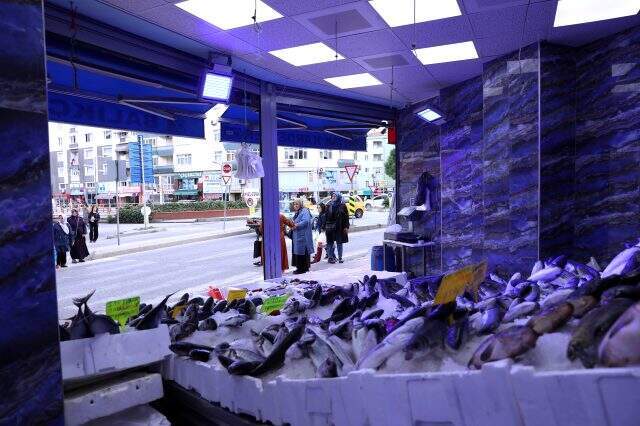 Balıkçıların 'Mavi Işık' hilesini zabıta engelledi