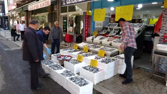 Hamsi 5 liraya düştü, vatandaşlar balıkçılara akın etti Hamsi 5 liraya düştü, vatandaşlar balıkçılara akın etti