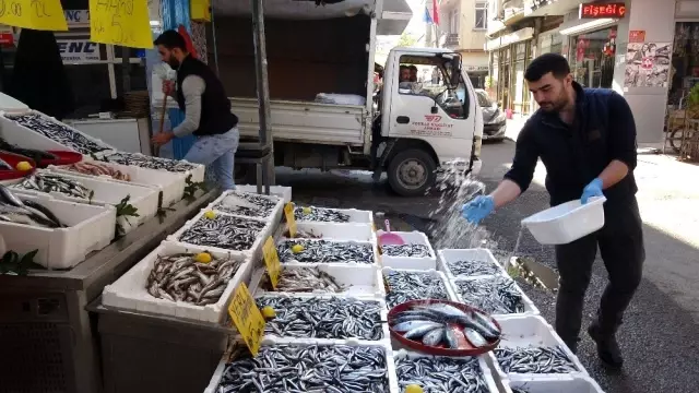 Hamsi 5 liraya düştü, vatandaşlar balıkçılara akın etti Hamsi 5 liraya düştü, vatandaşlar balıkçılara akın etti