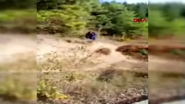 Jandarmanın yaralı bulduğu doğana tedavi Jandarmanın yaralı bulduğu doğana tedavi