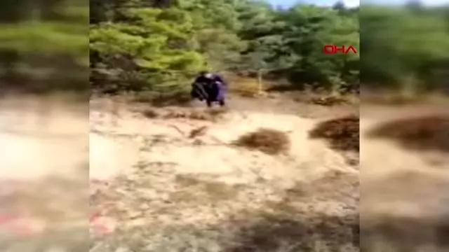 Jandarmanın yaralı bulduğu doğana tedavi Jandarmanın yaralı bulduğu doğana tedavi