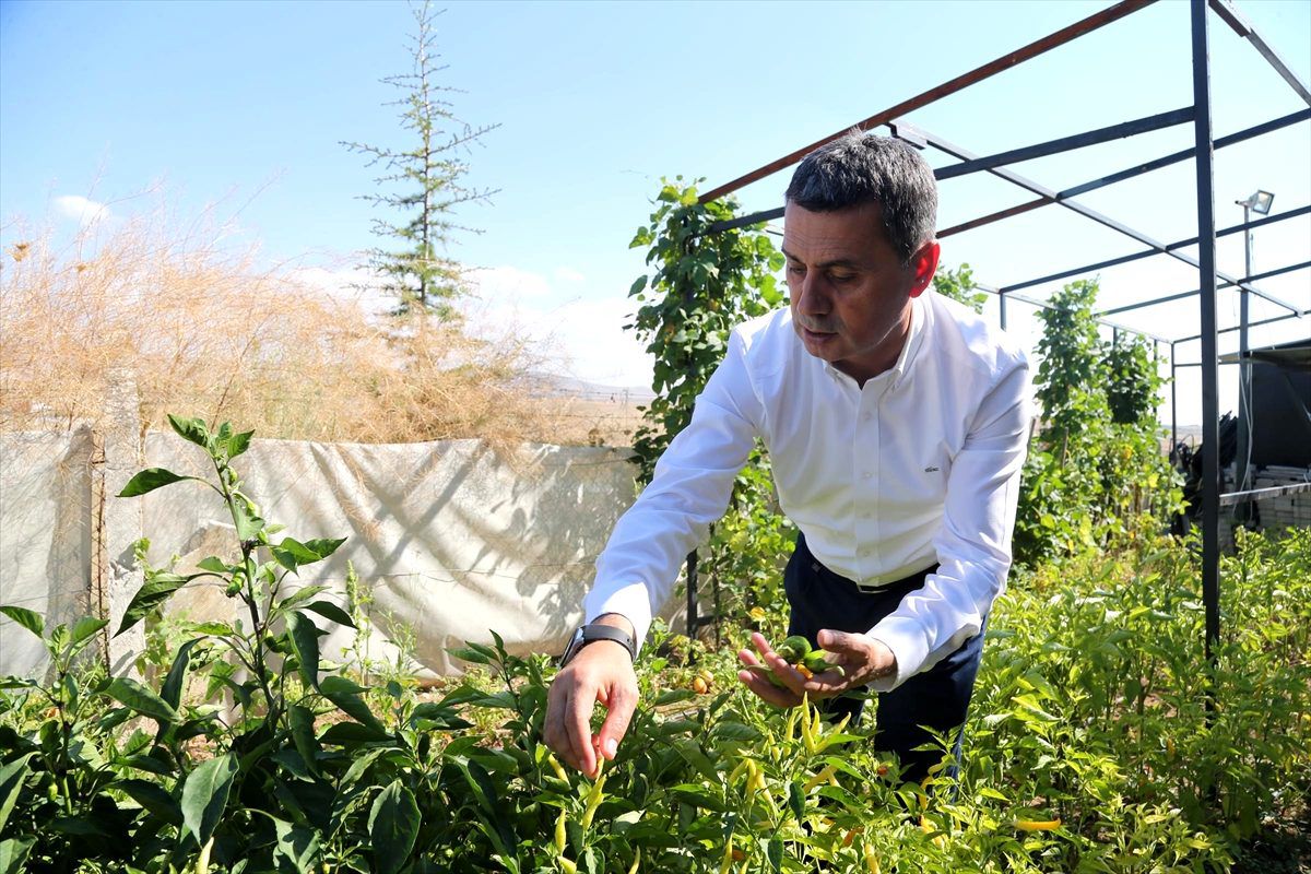'Kent Çiftliği Projesi' destek almaya hak kazandı