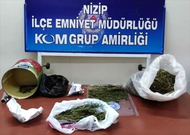 Nizip'te 2 kilo 173 gram esrar ele geçirildi Nizip'te 2 kilo 173 gram esrar ele geçirildi
