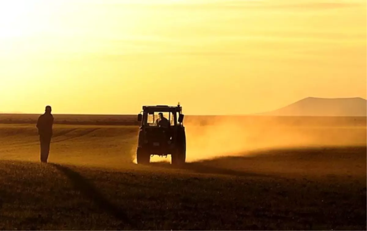 'TMO'ya ayrıcalık ithalatı körükler'