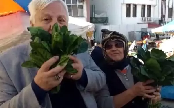 Üreticilere destek için 'çiğ ıspanak' yedi Üreticilere destek için 'çiğ ıspanak' yedi