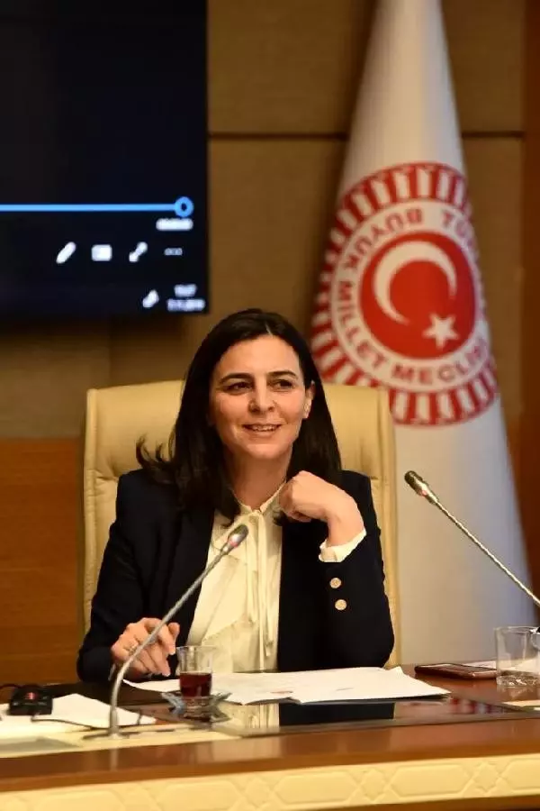 AK Parti'li Durgut: Araçta sigara içmek, çocuk haklarının ihlali