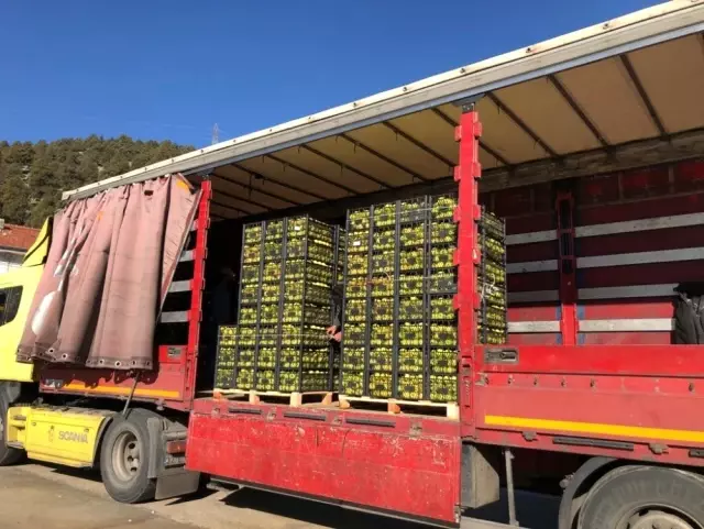 Barış Pınarı Harekatı'nda görevli Mehmetçik'e 26 ton Eğirdir elması