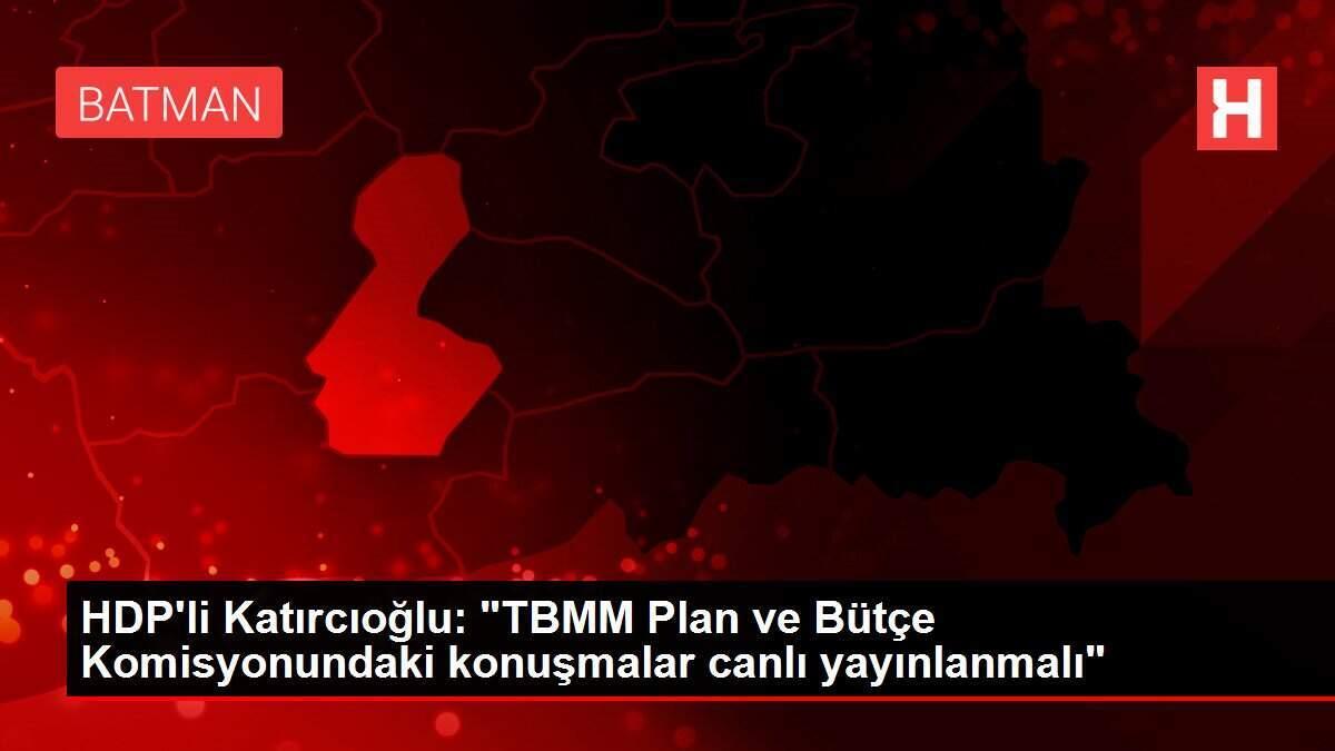 HDP'li Katırcıoğlu: