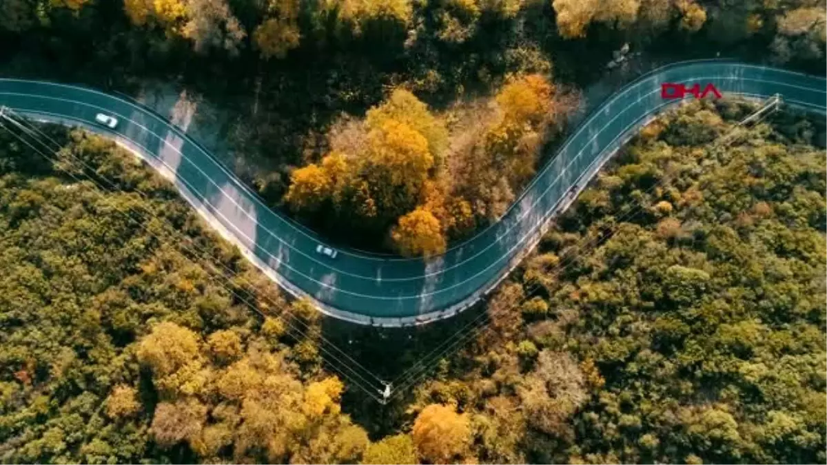 İstanbul ormanları sonbaharın renklerine büründü