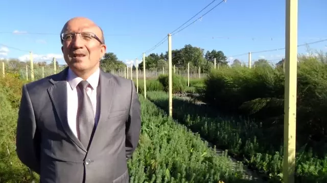 İşte Trakya'nın fidan fabrikası İşte Trakya'nın fidan fabrikası