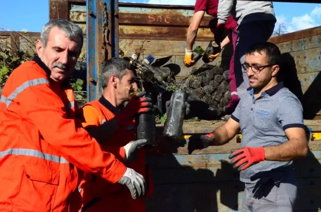 İşte Trakya'nın fidan fabrikası İşte Trakya'nın fidan fabrikası