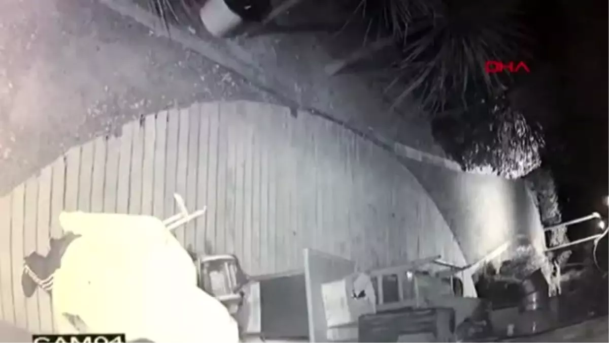 Kafeye giren hırsız, çaldığı madeni paralarla yakalandı