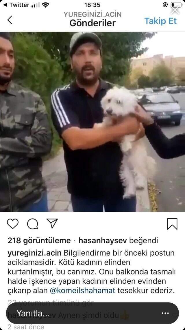 Köpeğe şiddet uygulayan kadına tepkiler çığ gibi büyüdü!