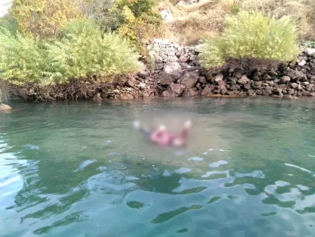 (Özel) Tekne turu yapan turistler korkunç bir manzara ile karşılaştı (Özel) Tekne turu yapan turistler korkunç bir manzara ile karşılaştı