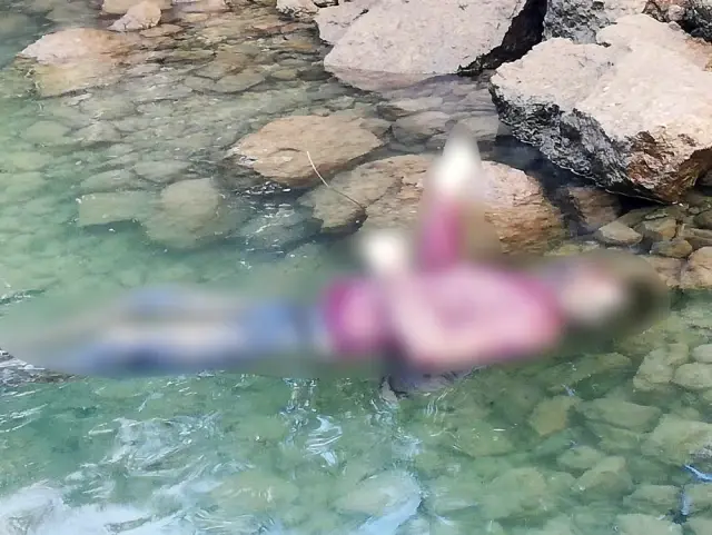 (Özel) Tekne turu yapan turistler korkunç bir manzara ile karşılaştı (Özel) Tekne turu yapan turistler korkunç bir manzara ile karşılaştı