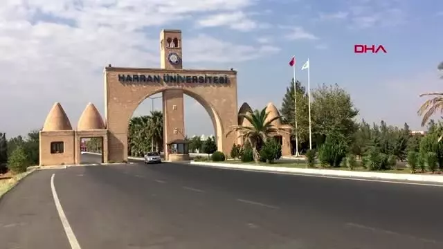 Şanlıurfa harran üniversitesi'nde toplu istifa Şanlıurfa harran üniversitesi'nde toplu istifa