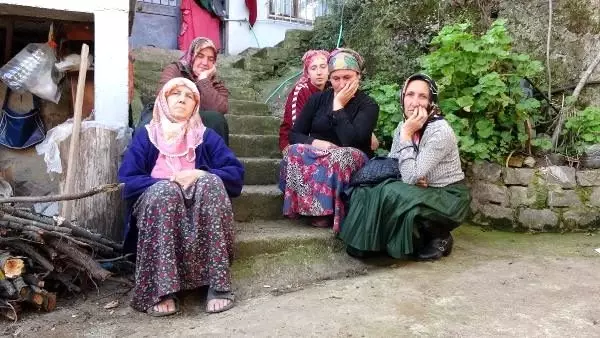 Trabzon'da 30 büyükbaş, çiçek hastalığından öldü