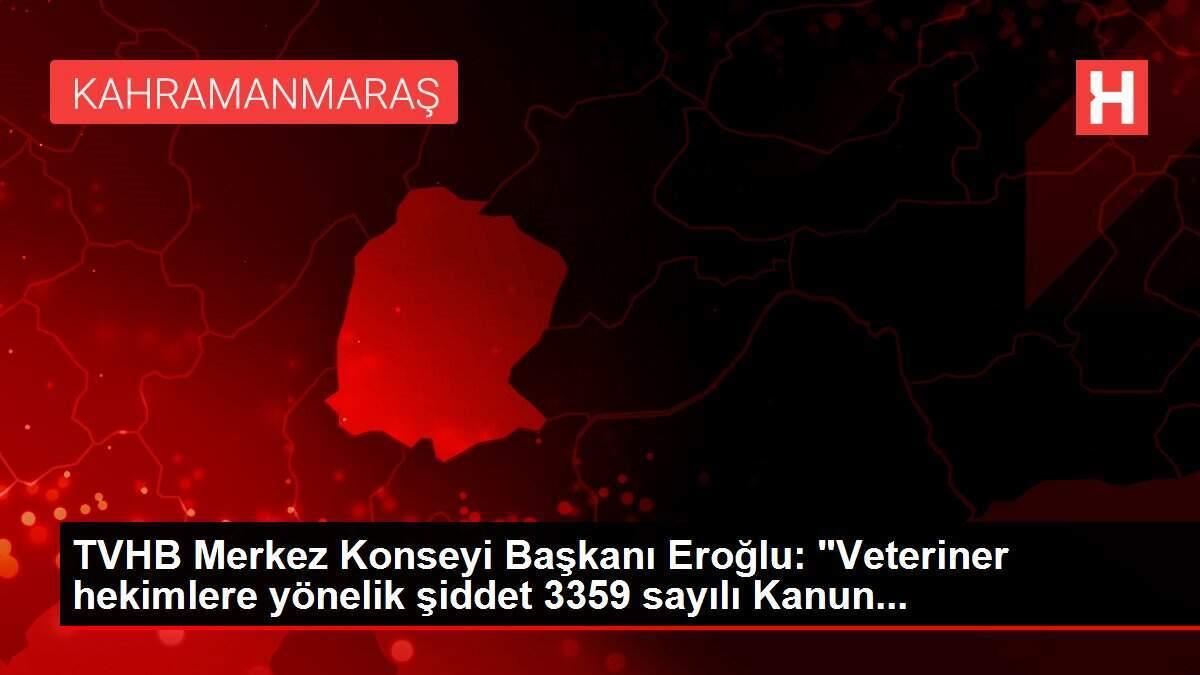 TVHB Merkez Konseyi Başkanı Eroğlu: 'Veteriner hekimlere yönelik şiddet 3359 sayılı Kanun...