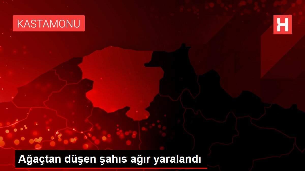 Ağaçtan düşen şahıs ağır yaralandı