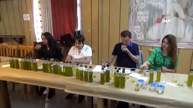 Ayvacık'ta 3. Geleneksel Zeytin Şenliği
