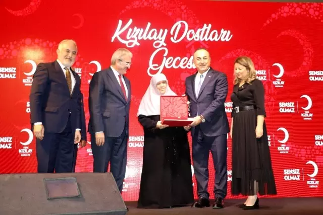 Bakan Çavuşoğlu: 'Terör devleti kurmak isteyenlerin oyununu başlarına devirdik' Bakan Çavuşoğlu: 'Terör devleti kurmak isteyenlerin oyununu başlarına devirdik'