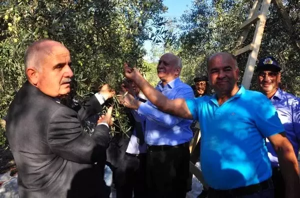 Bayraktar: Zeytincilikte hedefimiz dünya ikincisi olmak