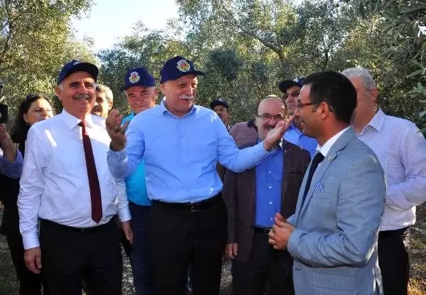 Bayraktar: Zeytincilikte hedefimiz dünya ikincisi olmak