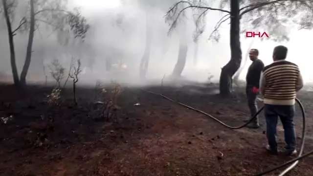 Çanakkale bayramiç'te orman yangını; 20 dönüm alan kül oldu Çanakkale bayramiç'te orman yangını; 20 dönüm alan kül oldu