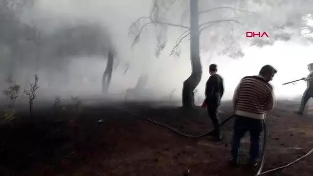 Çanakkale bayramiç'te orman yangını; 20 dönüm alan kül oldu Çanakkale bayramiç'te orman yangını; 20 dönüm alan kül oldu