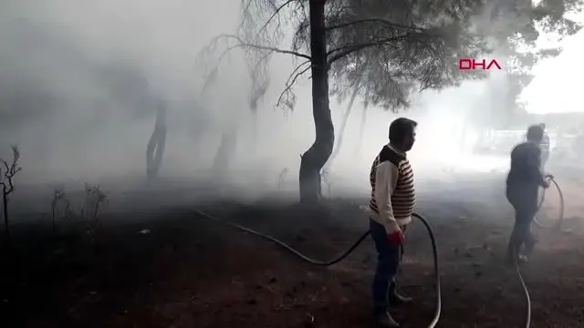 Çanakkale bayramiç'te orman yangını; 20 dönüm alan kül oldu Çanakkale bayramiç'te orman yangını; 20 dönüm alan kül oldu