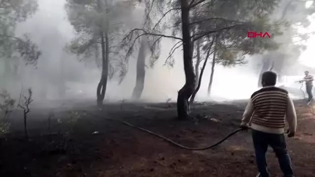 Çanakkale bayramiç'te orman yangını; 20 dönüm alan kül oldu Çanakkale bayramiç'te orman yangını; 20 dönüm alan kül oldu