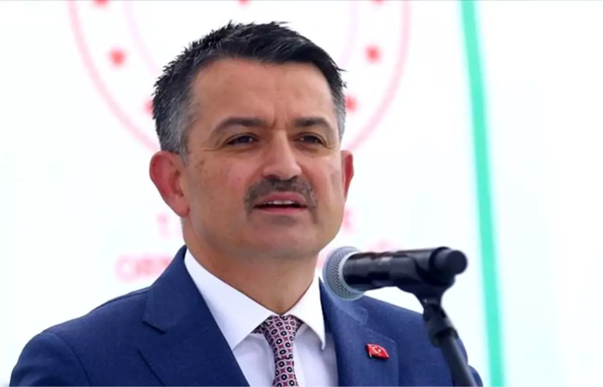 Çiftçilere 284 milyon liralık destek