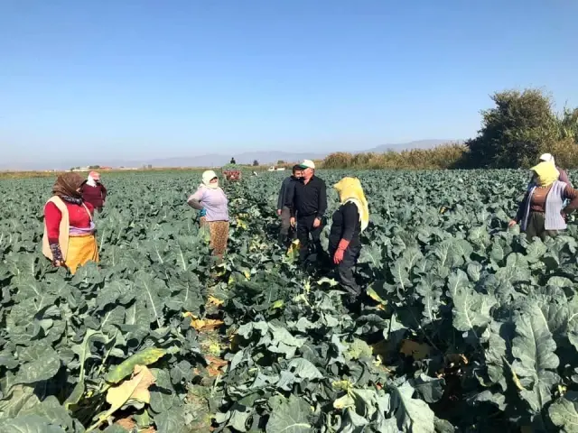 Çiftçinin beklediği faiz indirimi açıklandı Çiftçinin beklediği faiz indirimi açıklandı